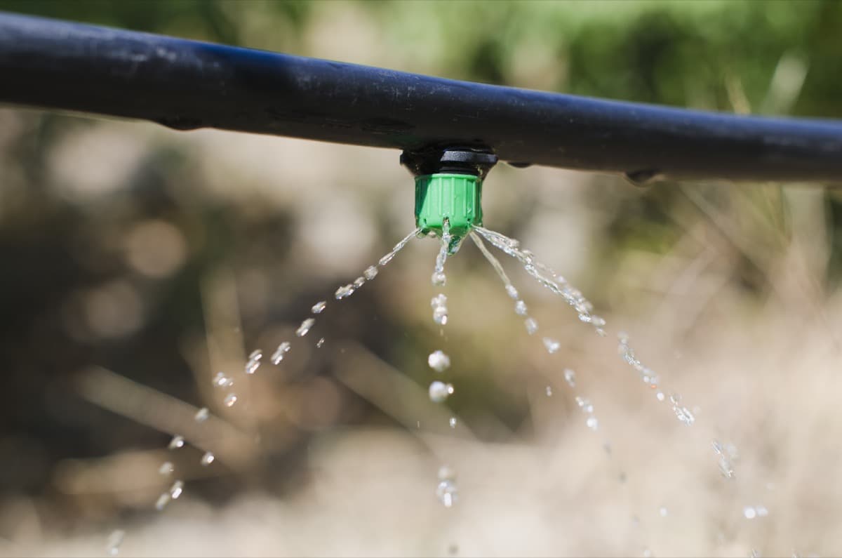 Benefits of Drip Irrigation in Horticulture