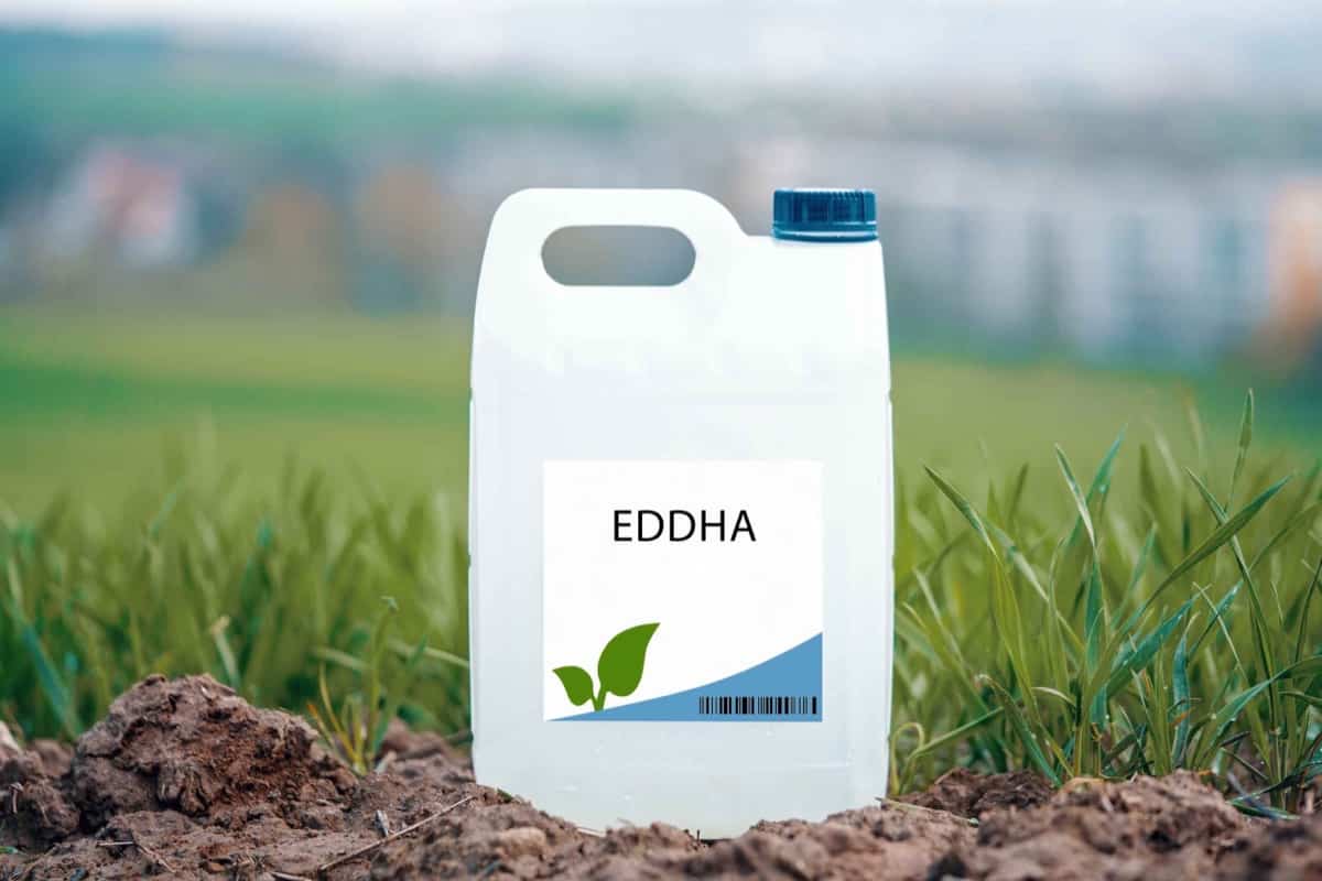 Benefits of Using EDDHA Ferrous for Plants
